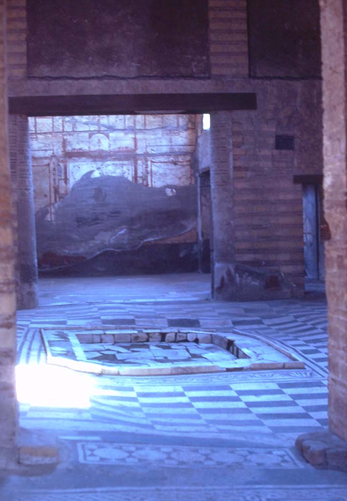 IV.2 Herculaneum, 7th August 1976. Looking east across atrium towards oecus.
Photo courtesy of Rick Bauer, from Dr George Fay’s slides collection.